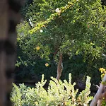 Kaly Solana 别墅 Agia Anna (Naxos)