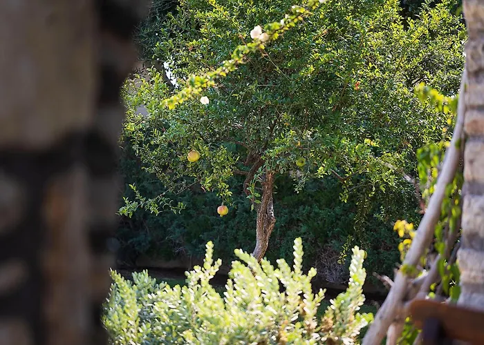 Kaly Solana Βίλα Αγία Άννα