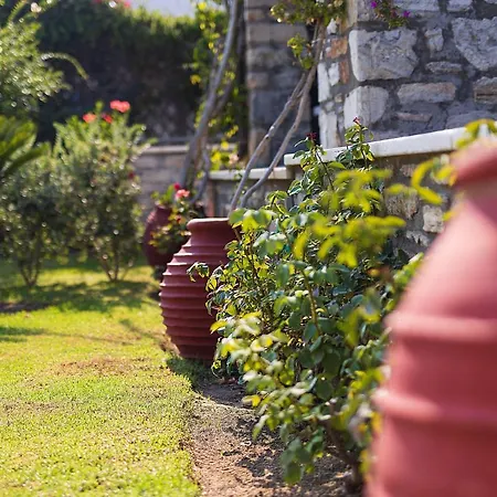 Kaly Solana * Agia Anna (Naxos)