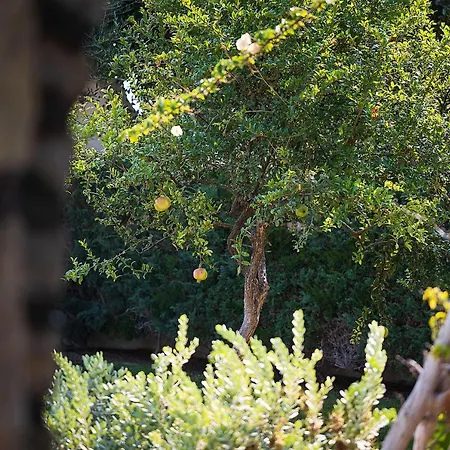 Kaly Solana Villa Agia Anna (Naxos)